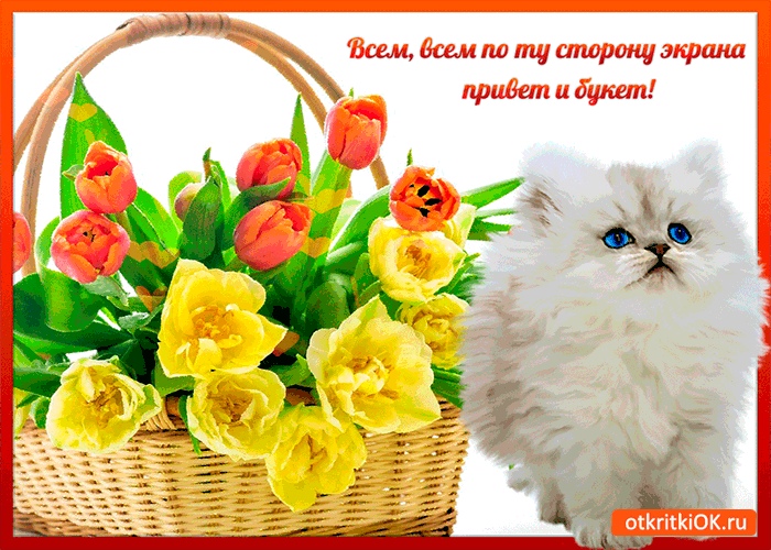Всем привет и букет