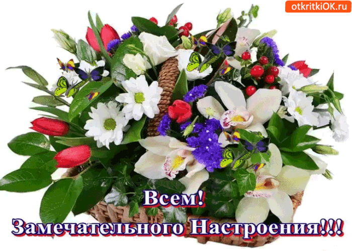 Всем всем, замечательного настроения