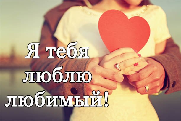 Я тебя люблю любимый