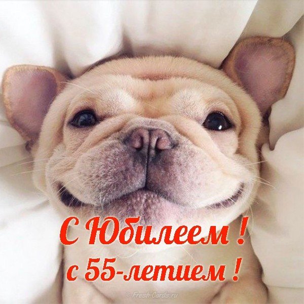 Юбилей 55 открытка