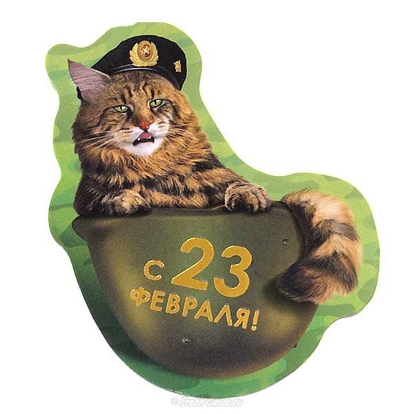 Забавная открытка с 23 февраля