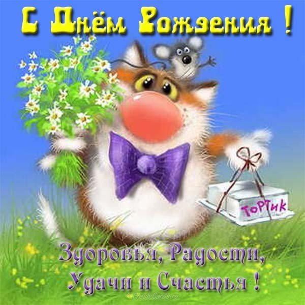 Забавная открытка с днём рождения женщине