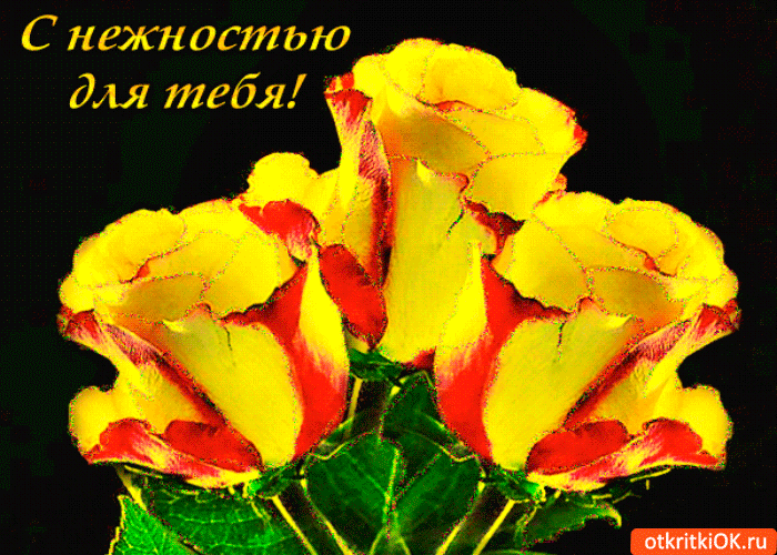 Желтые цветы с нежностью