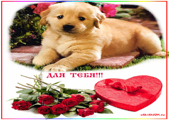 Живая анимационная открытка