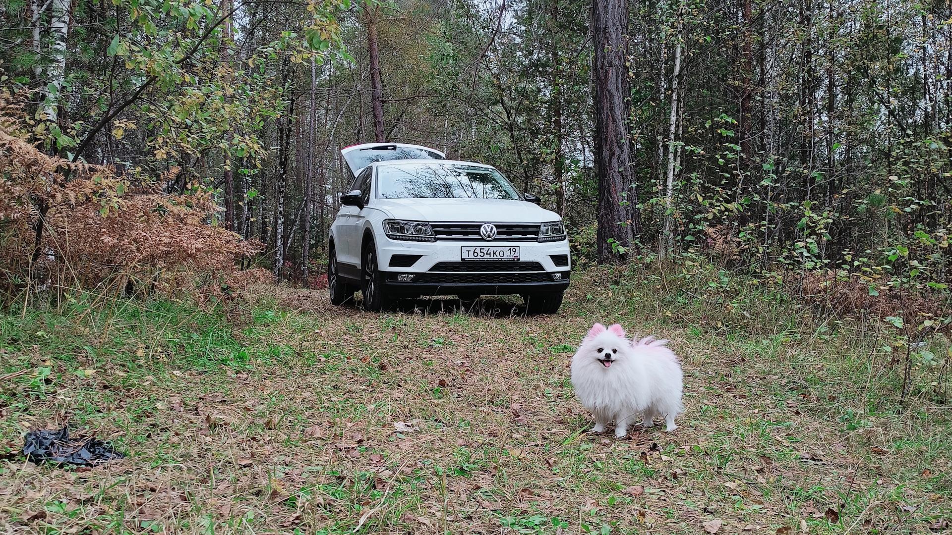 Автомобиль госномер Т654КО19