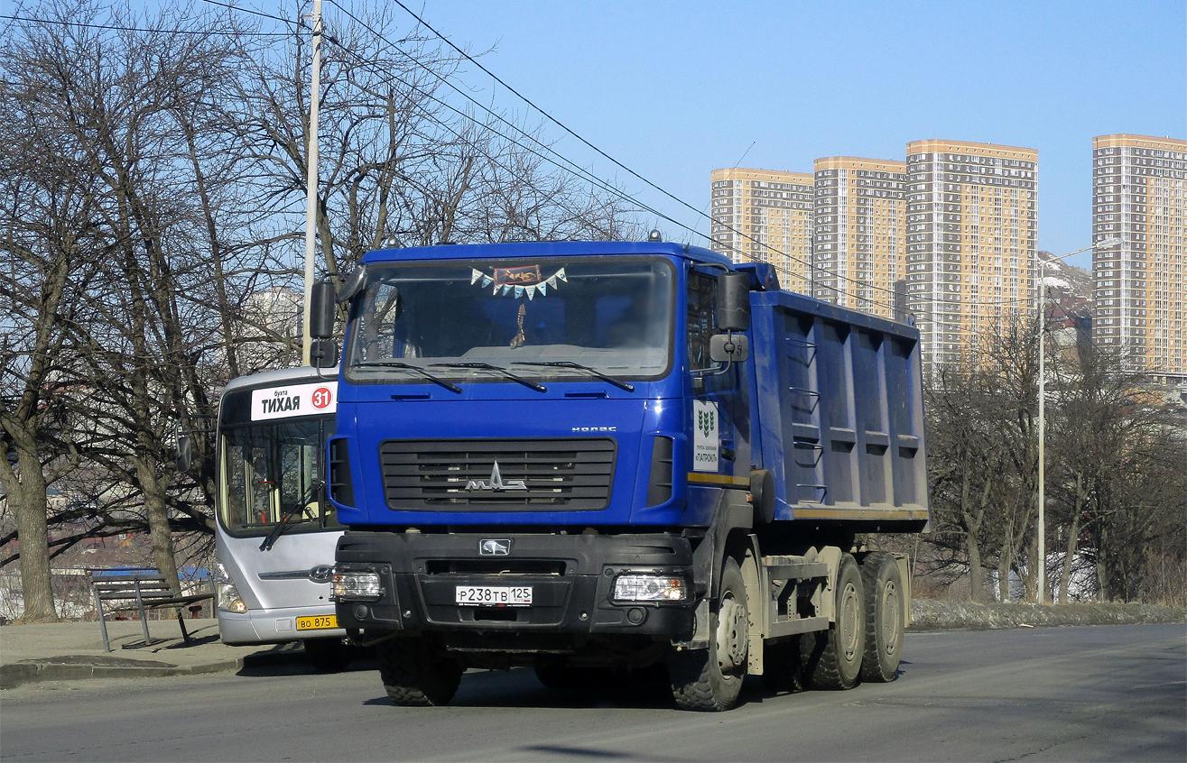 Автомобиль госномер Р238ТВ125