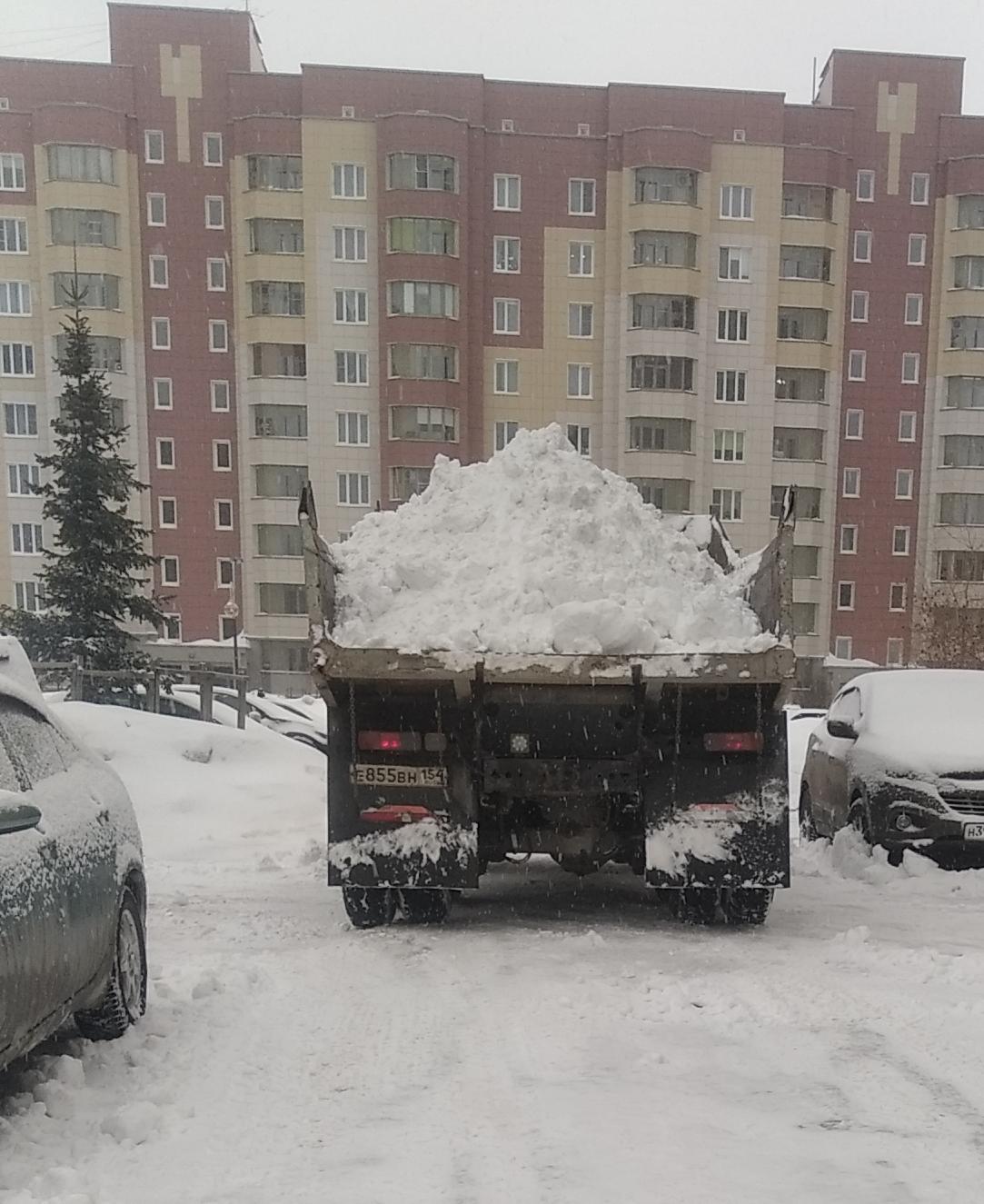 Автомобиль госномер Е855ВН154