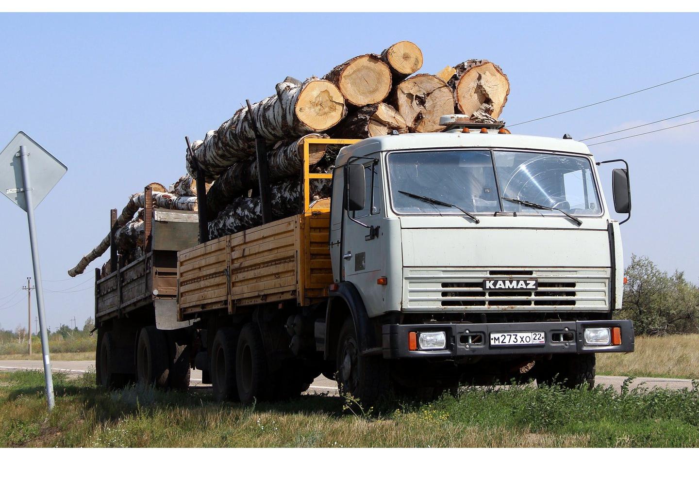 Автомобиль госномер М273ХО22
