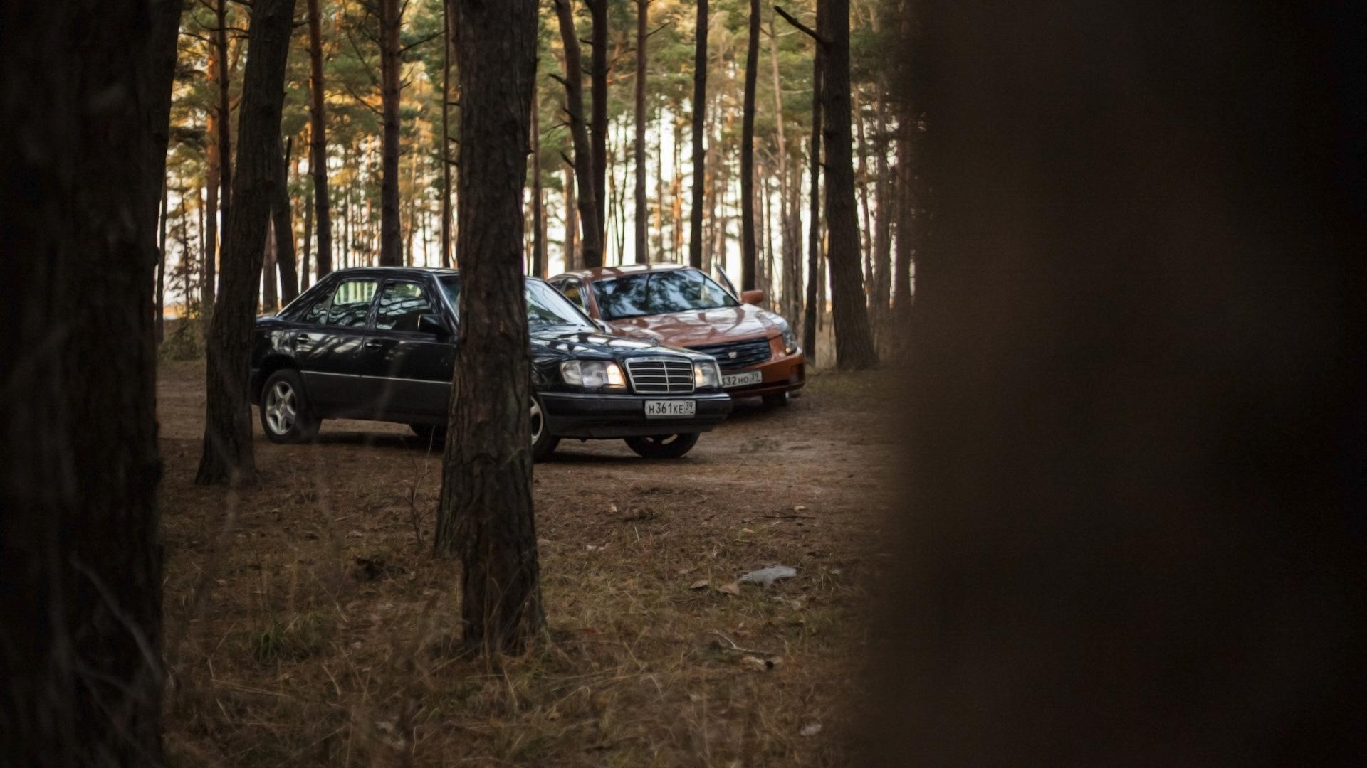 Автомобиль госномер Н361КЕ39