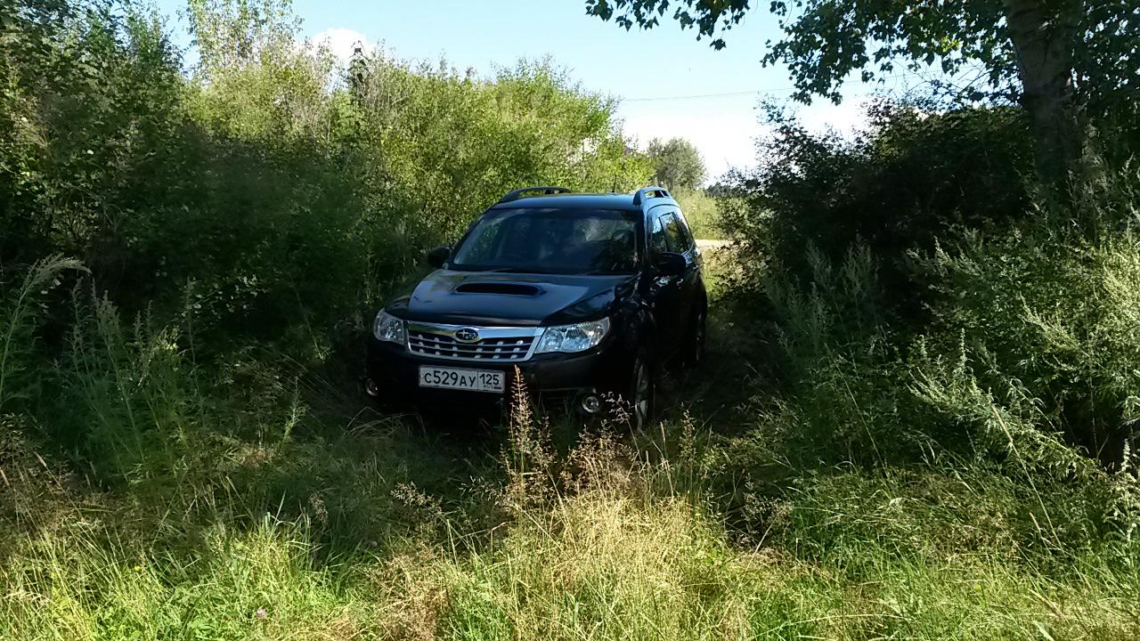 Автомобиль госномер С529АУ125