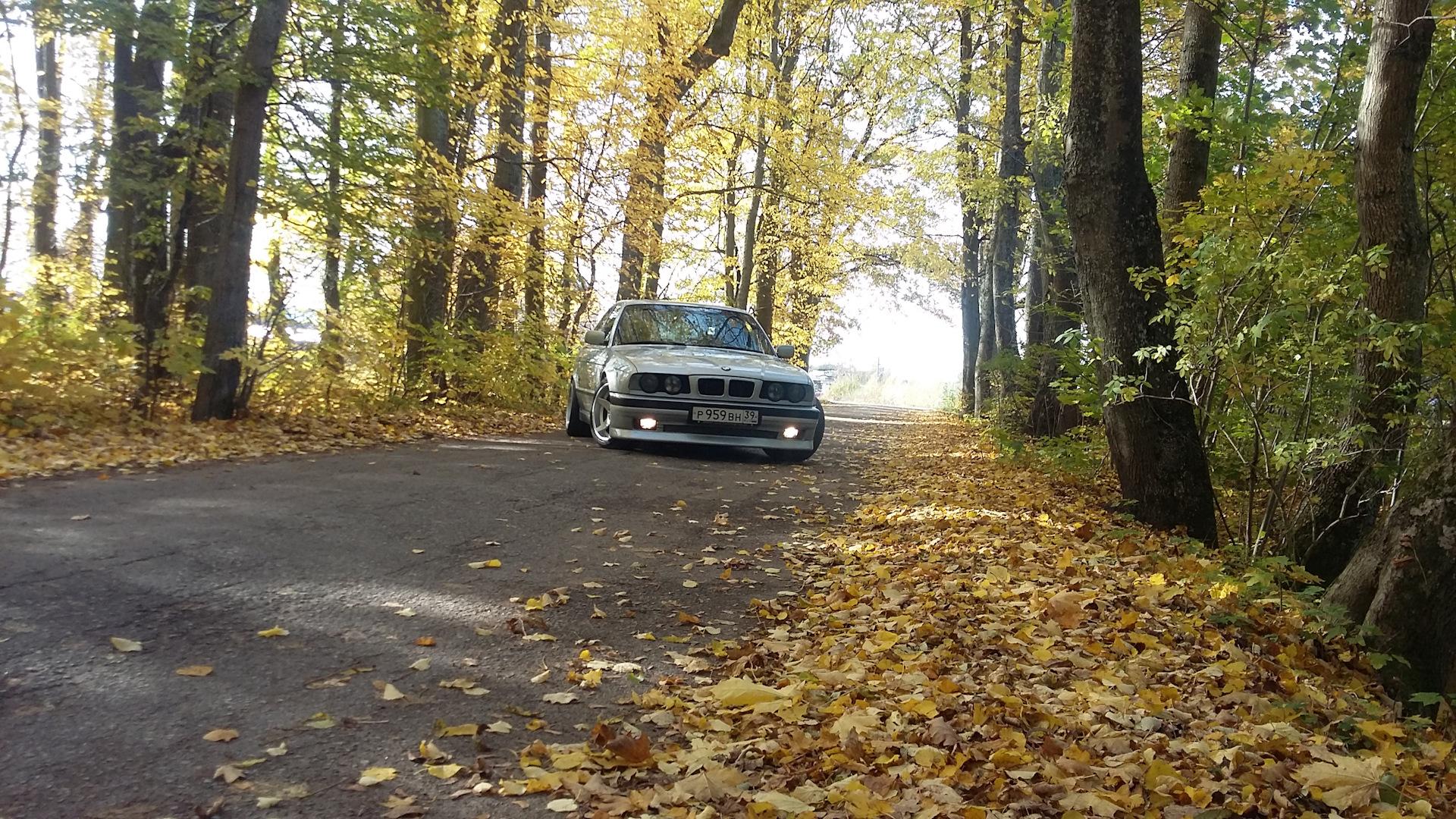 Автомобиль госномер Р959ВН39