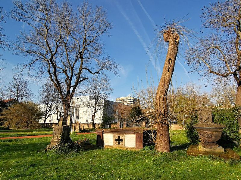 Портрет Петера Густава Лежёна Дирихле