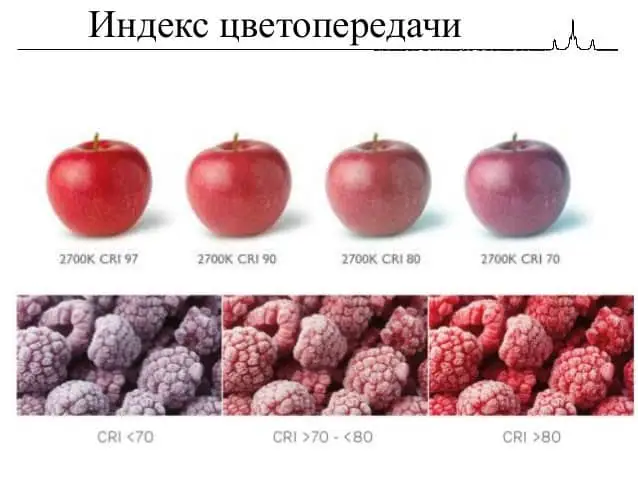 "Художники в шоке: как освещение меняет восприятие ваших работ!"