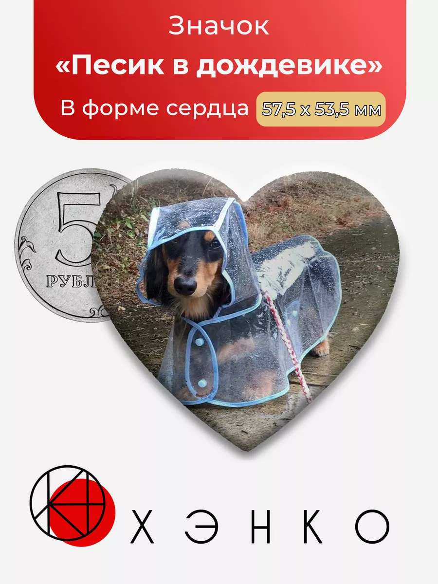 Песик в дождевике