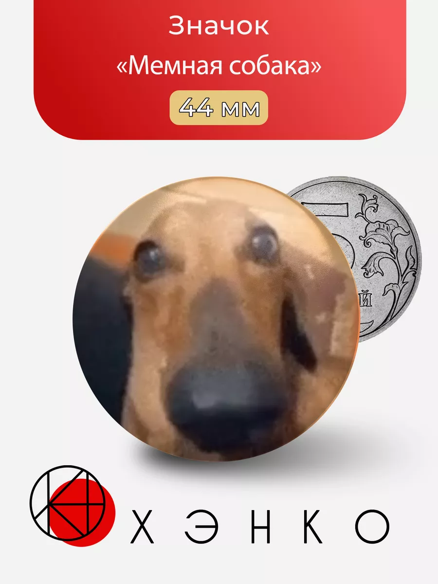 Собака мем из тик тока