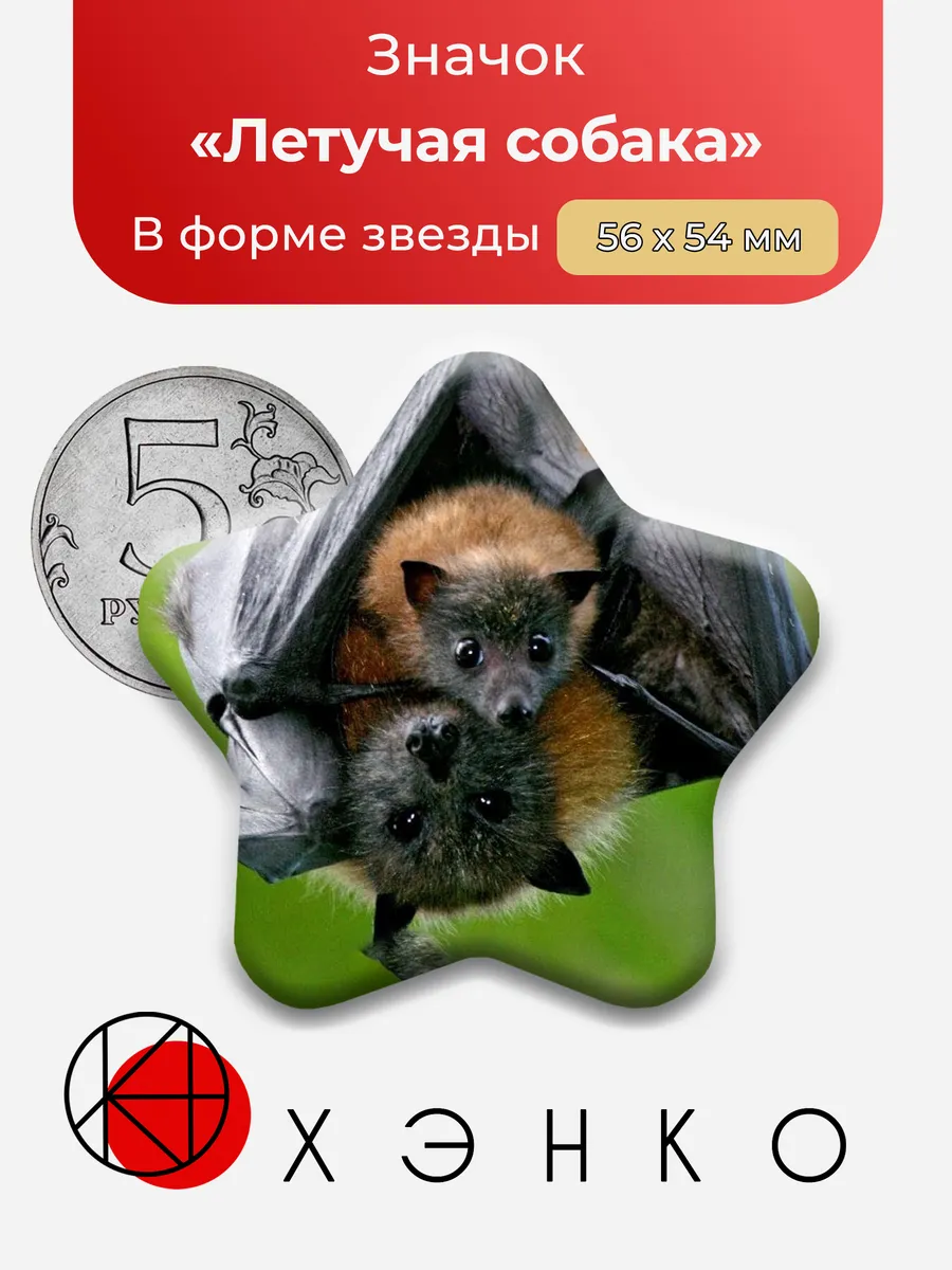 Летучая собака
