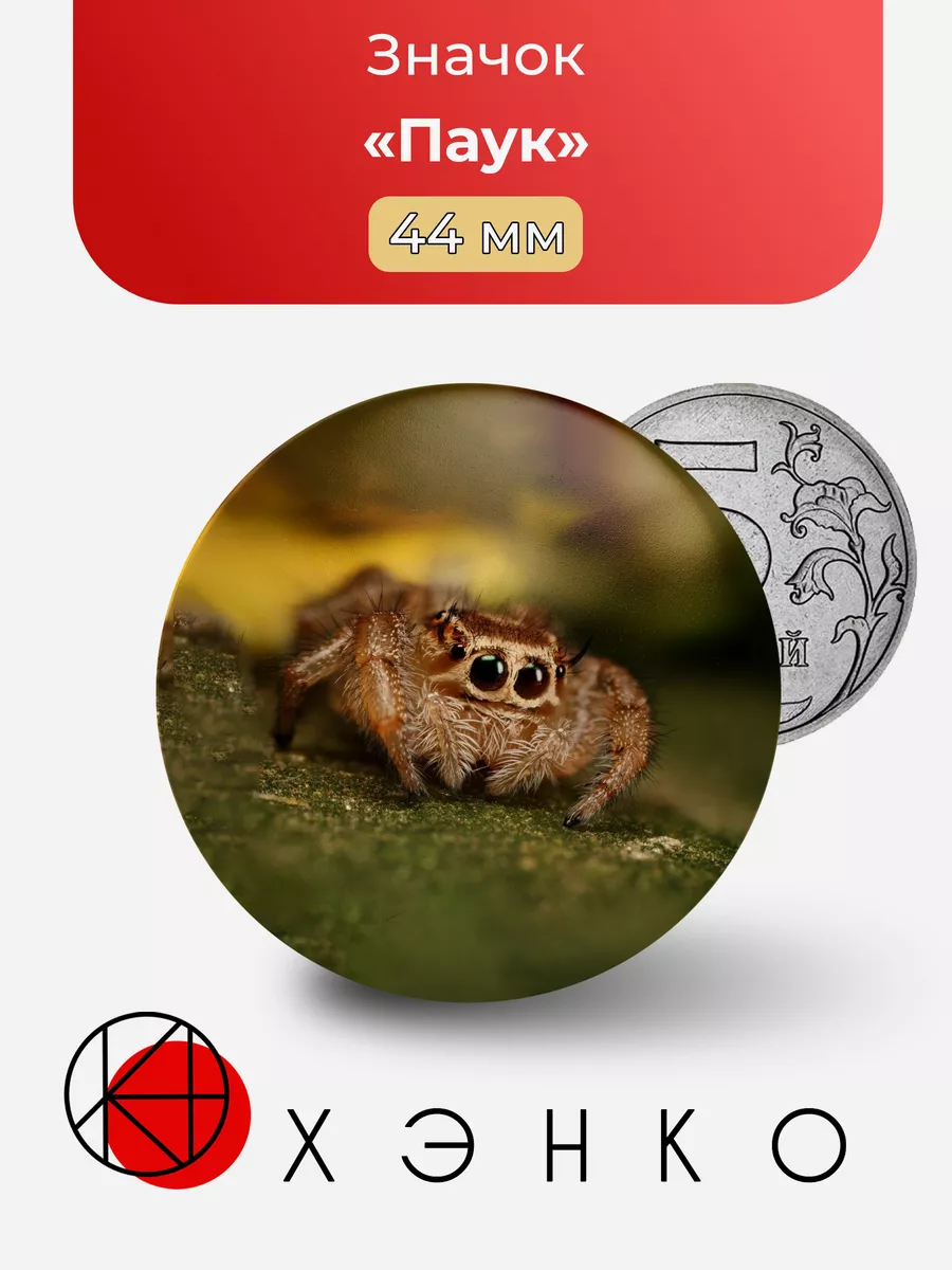 Паук