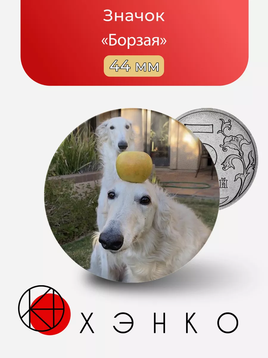 Борзая Собака