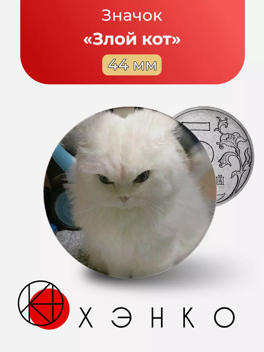 Злой кот