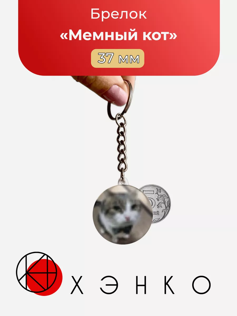 Мемный кот с бабочкой