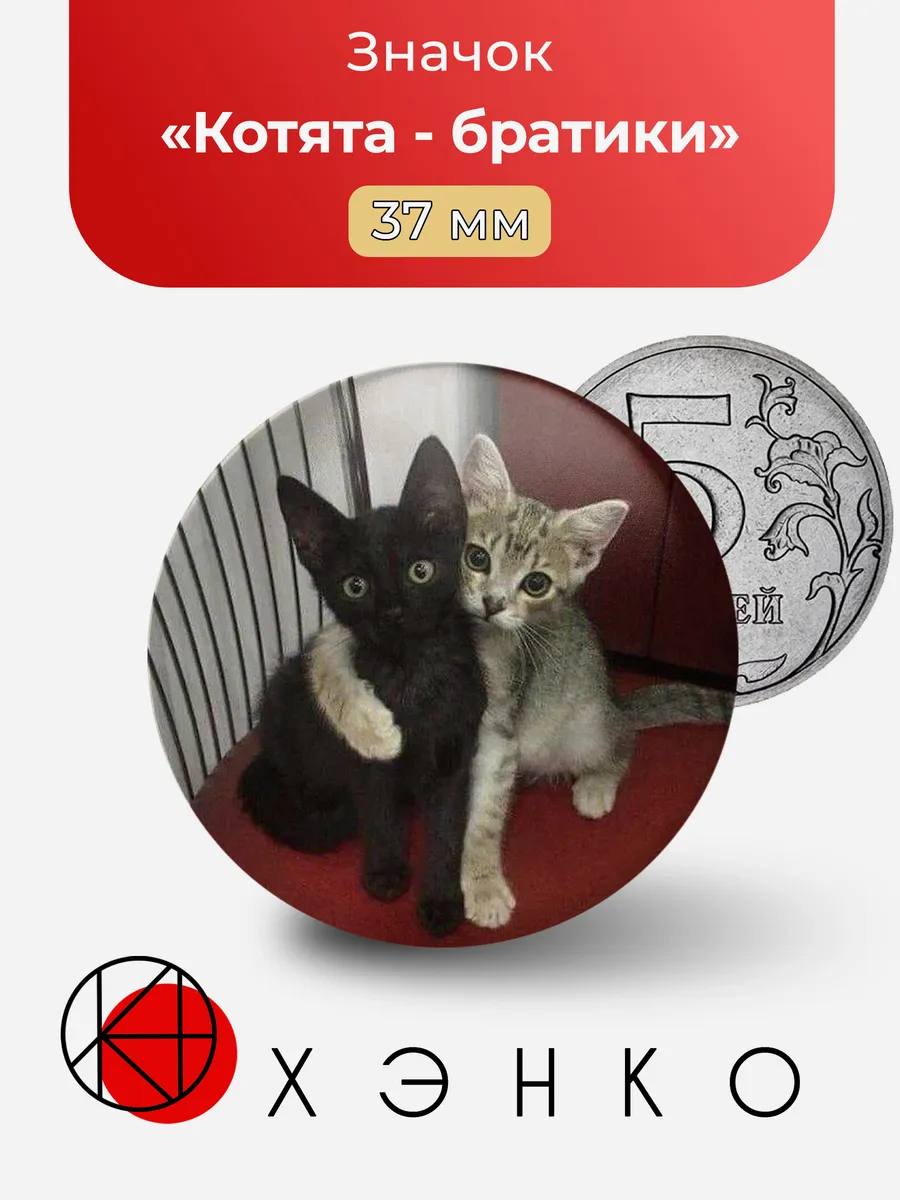 Котята - братики значок