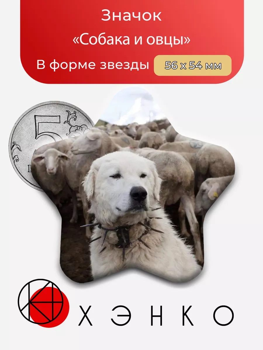 Собака и овцы