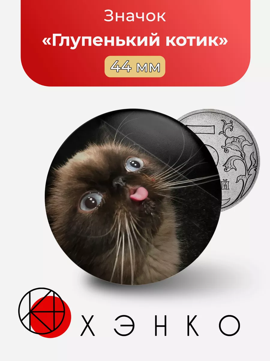 Глупенький котик