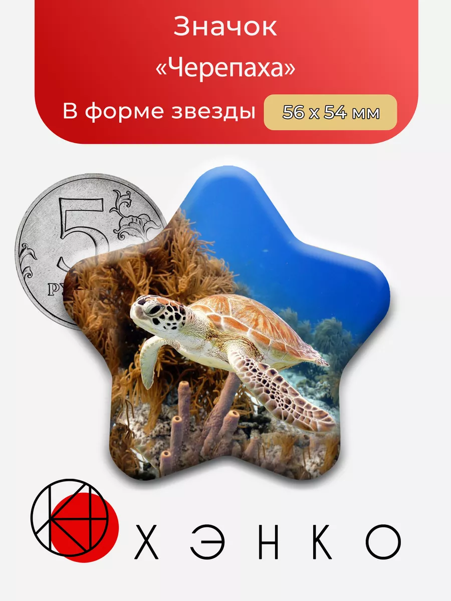 Черепаха Звезда