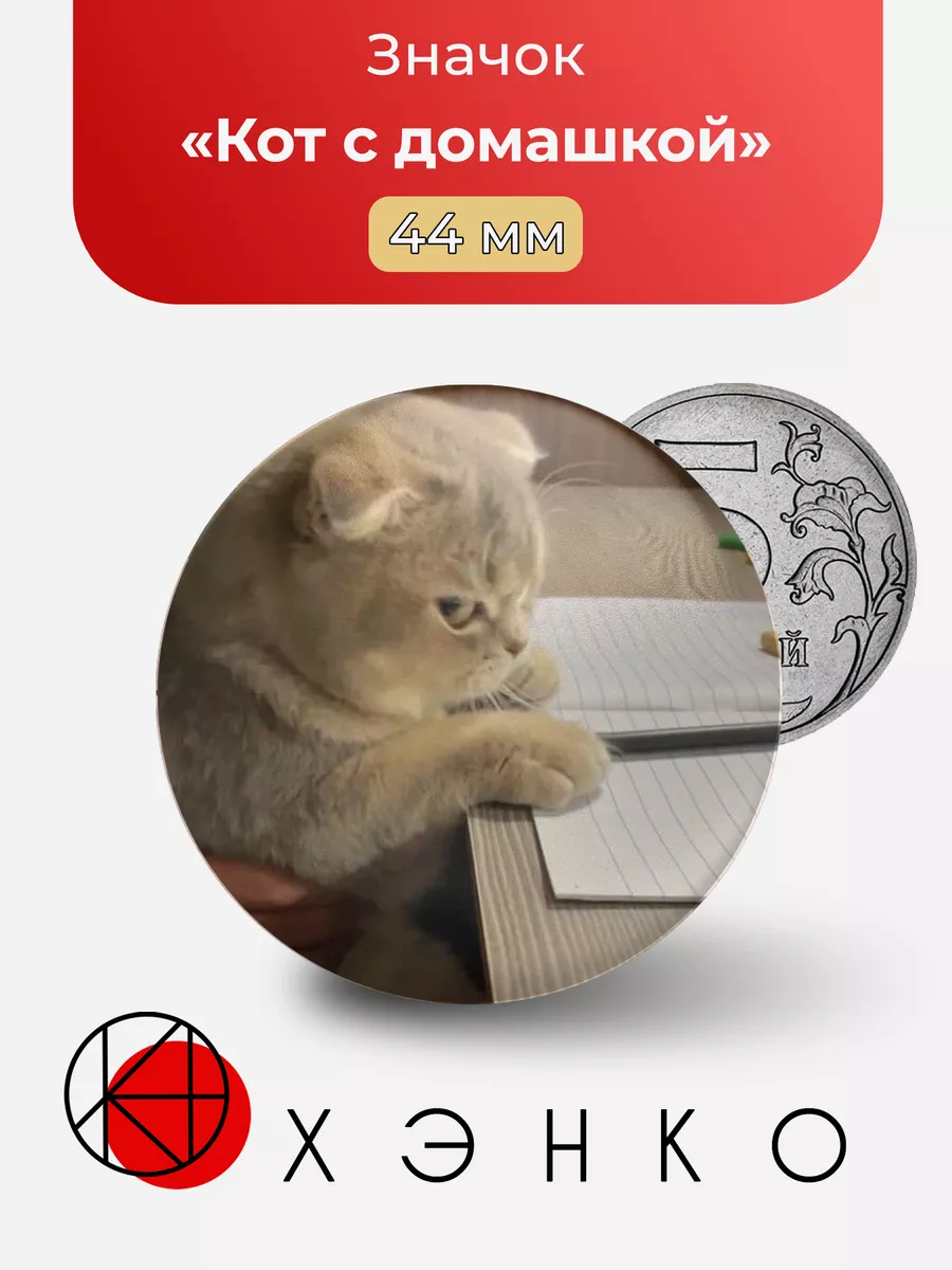 Кот с домашкой