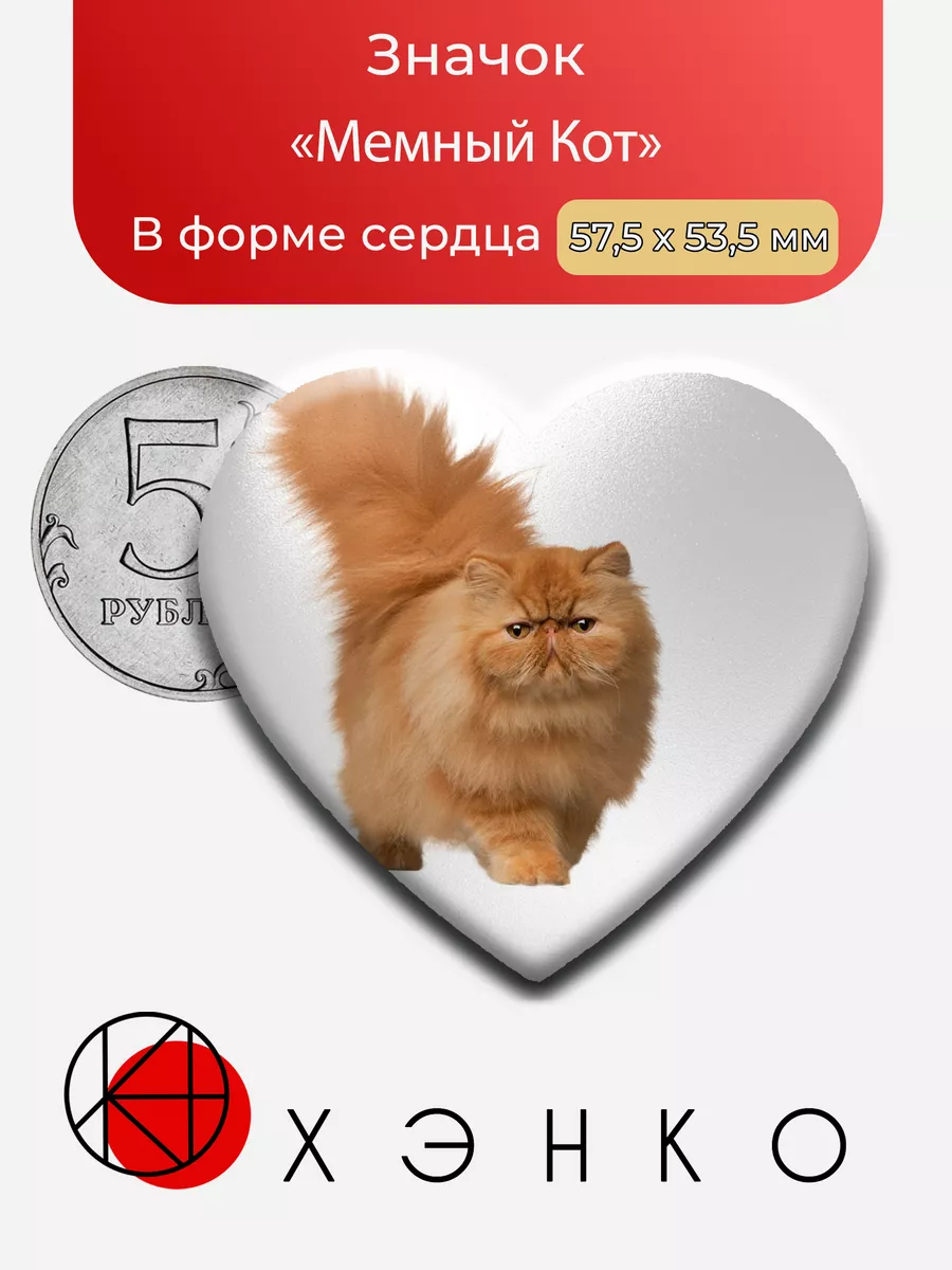 Мемный кот