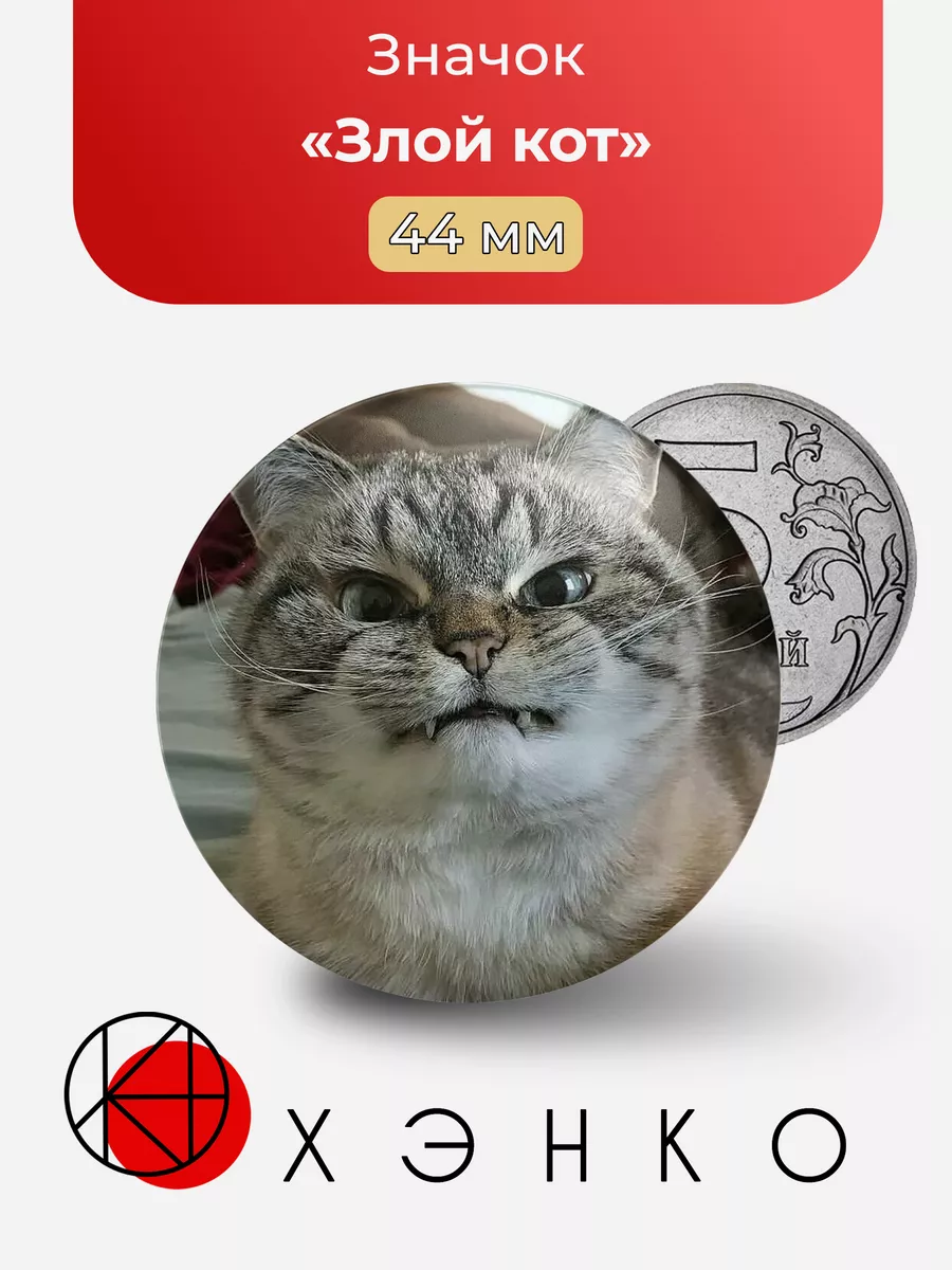 Злой кот