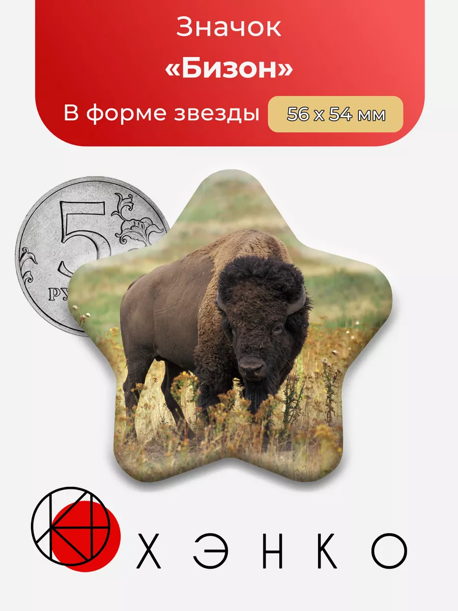 Бизон