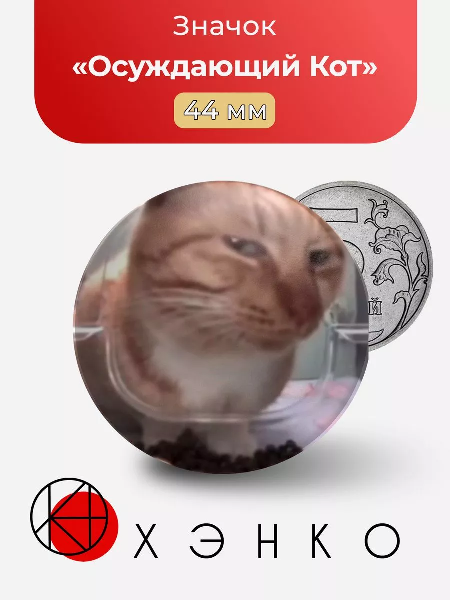 Осуждающий Кот мем