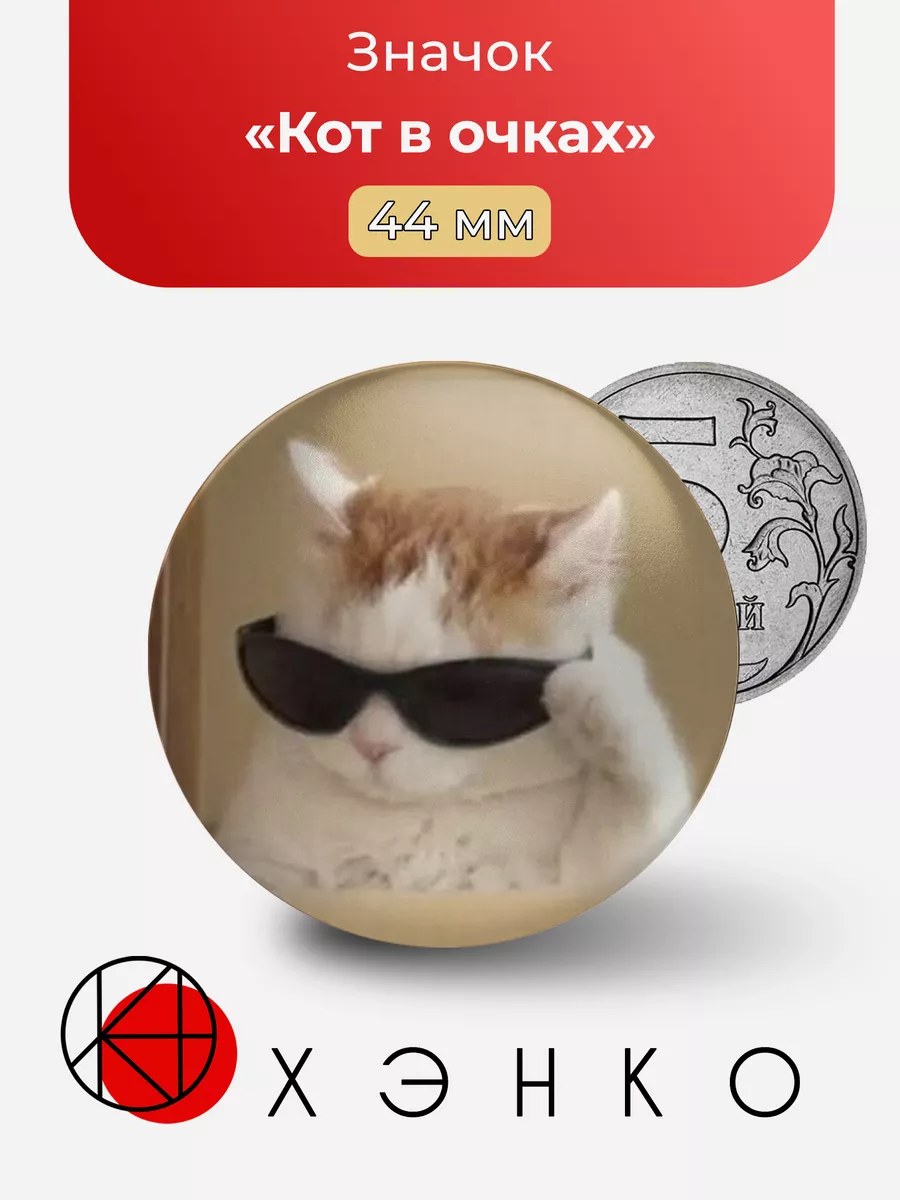 Кот в очках