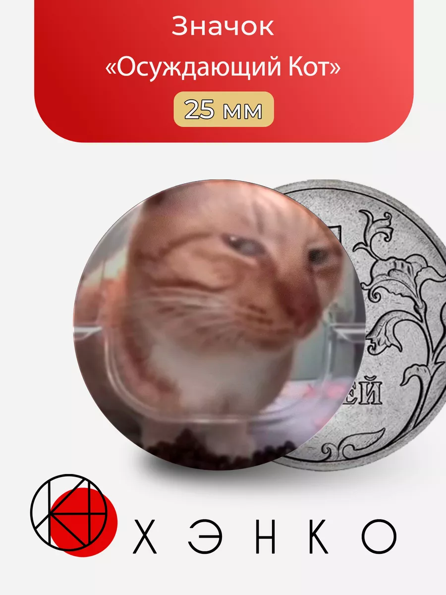 Осуждающий Кот мем