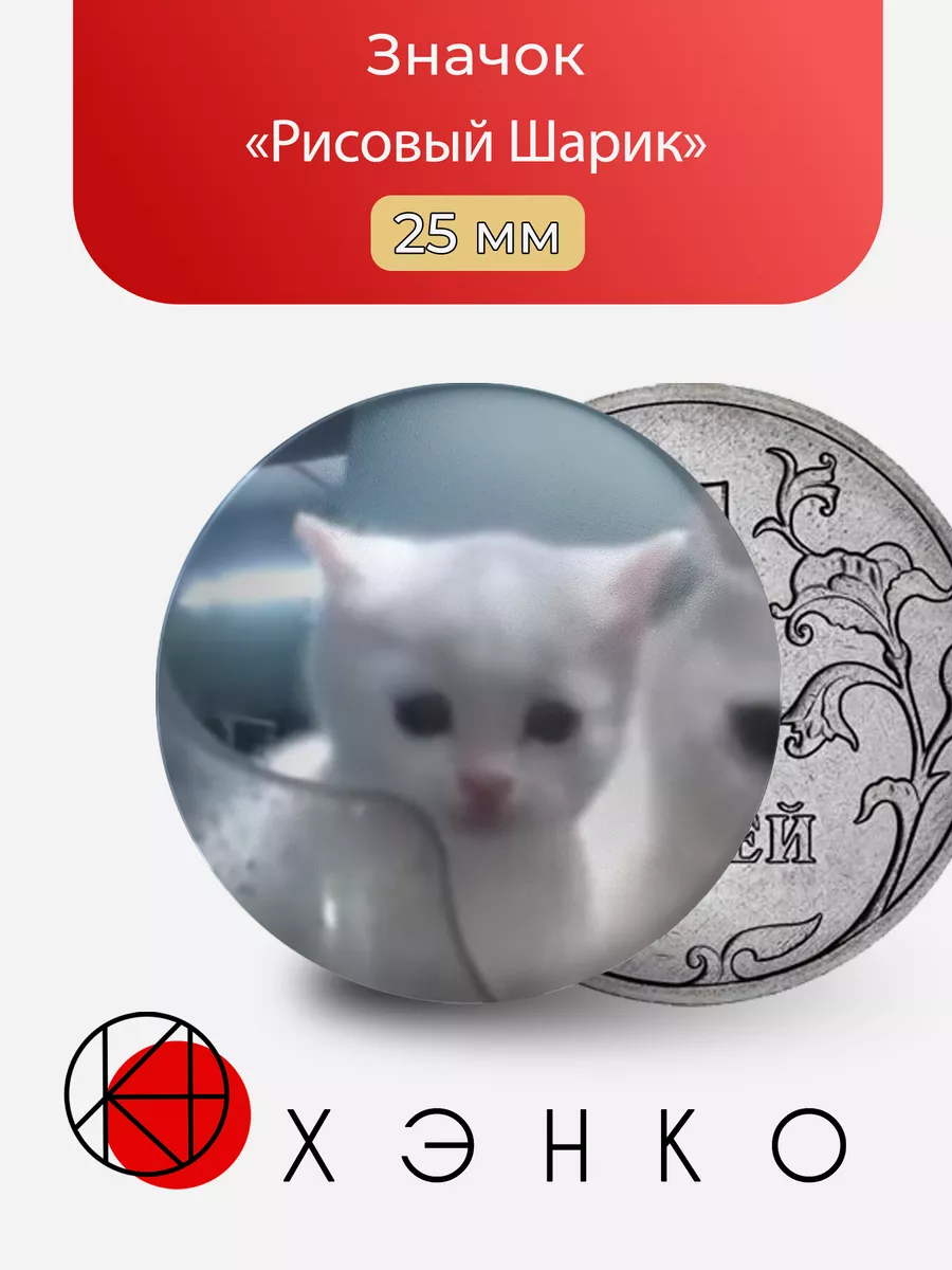 Рисовый Шарик hello street cat