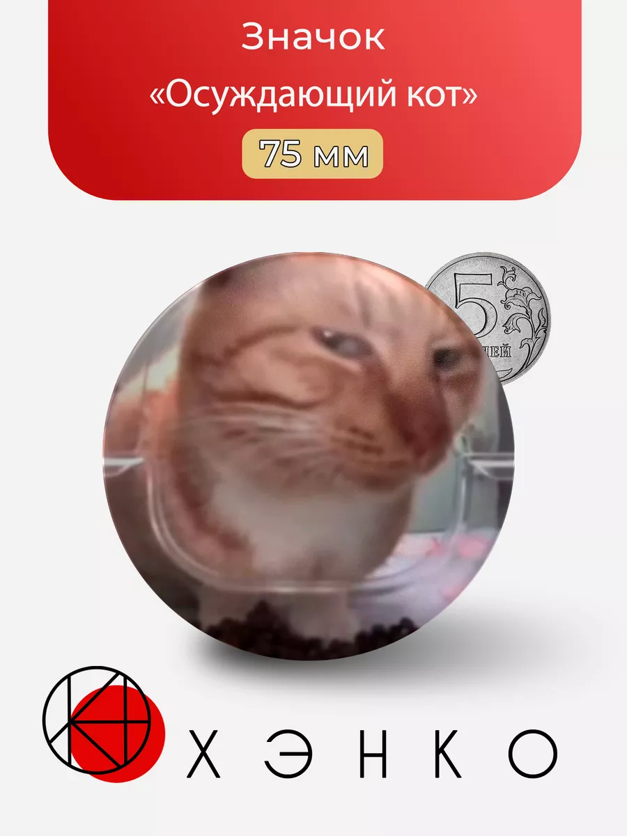 Осуждающий Кот мем