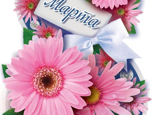 Работа из портфолио Polina Pomazan
