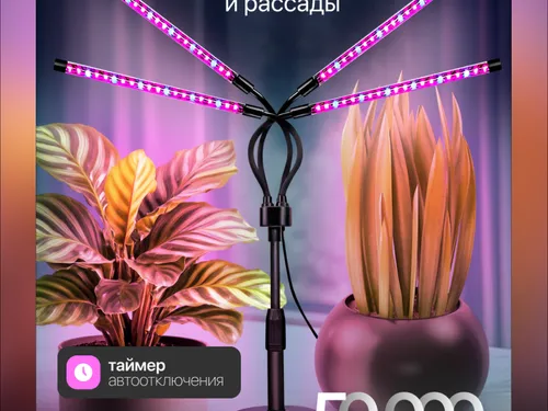 Оформление карточки товара для маркетплейсов.