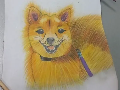 Рисунок аниме