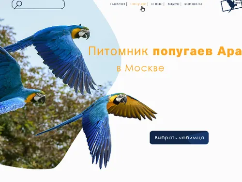 Лендинг для питомника попугаев 