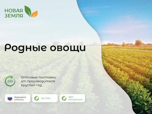 Презентация для поставщиков овощей