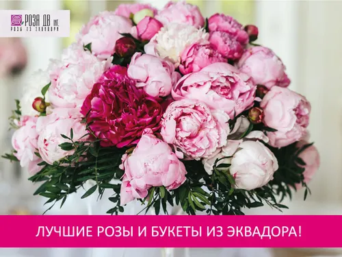 Каталог для цветочного магазина
