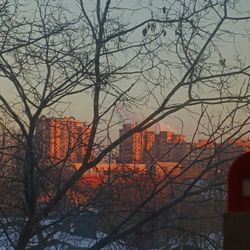 Ника Померанцева