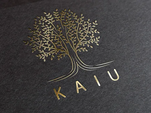 Логотип и фирменный стиль для ресторана азиатской еды KAIU