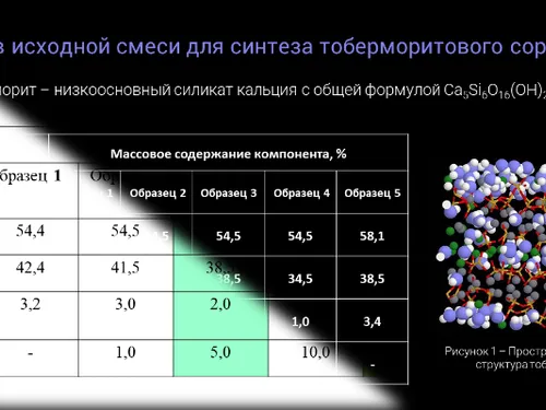 Презентация для научной конференции