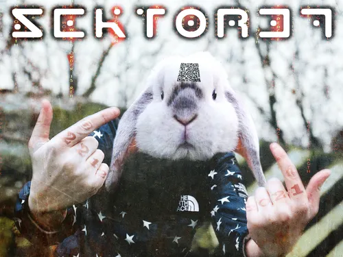 Sektor37 - Follow the white rabbit
