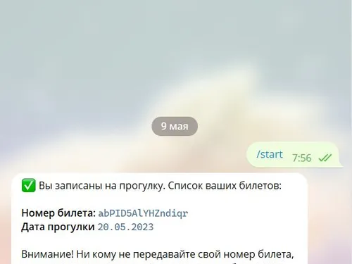 Прогулки