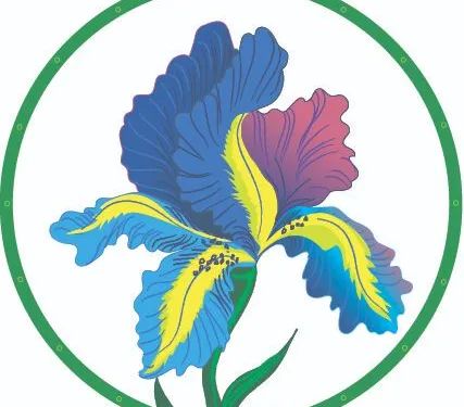 Векторные изображения