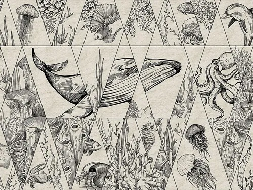 Обитатели морей